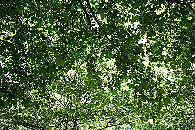 《十三机兵防卫圈》4周年纪念 PS4＆NS版半价促销