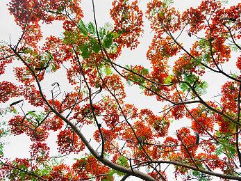 动视官宣《使命召唤桌游》今年众筹明年上市