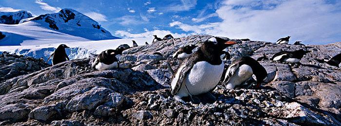 《泰坦陨落3》曾开发了10个月 但后来被取消